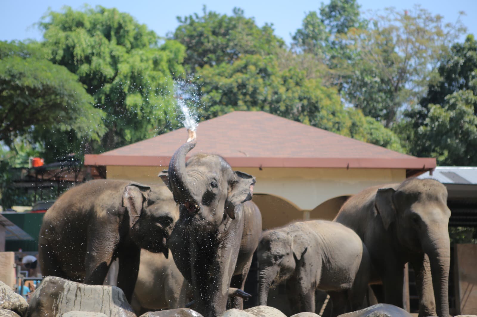 Zona Baru dan Edukasi Satwa Bikin GL Zoo Laris Manis di Libur Lebaran