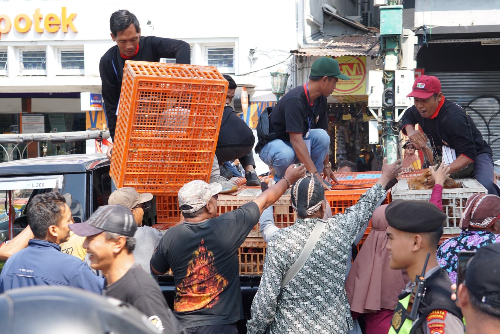 Peternak ayam petelur yang tergabung dalam P3Y membagikan sekitar 1.500 ayam gratis di DPRD DIY. Mereka mengeluhkan harga pakan Rp8.000 per kilogram dan harga telur di bawah Rp20.000. (dok. DPRD DIY)