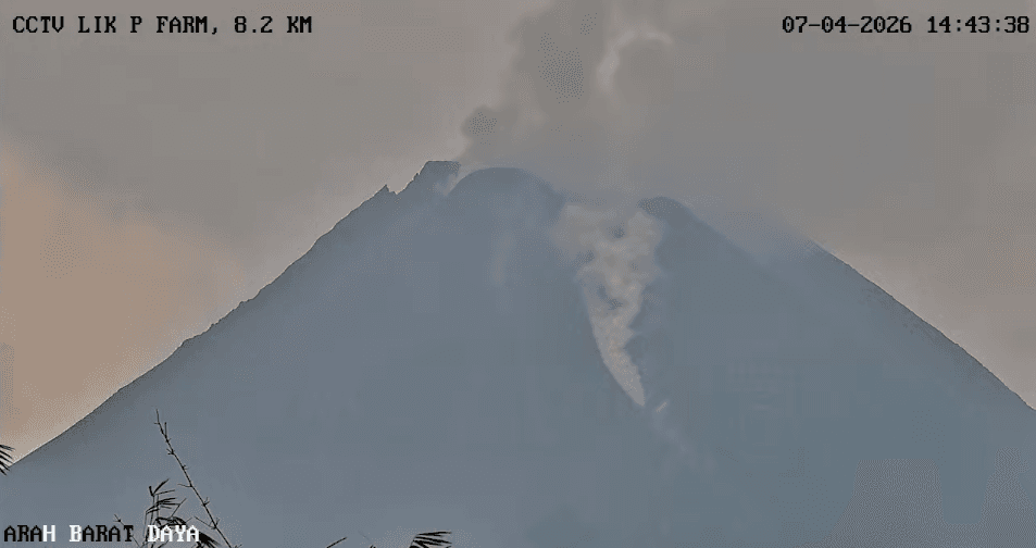 Gunung Merapi kembali mengalami awan panas guguran sejauh 1,8 km, Selasa (7/4/2026), BPPTKG mengimbau masyarakat menjauhi kawasan rawan dan waspada potensi lahar hujan. (dok. Freekom Tagana DIY)